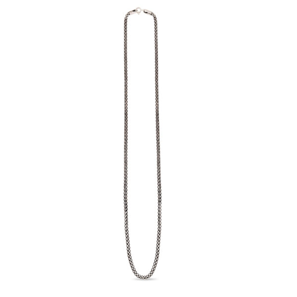 IMG_4539 copy1 IMG_4539 copy1